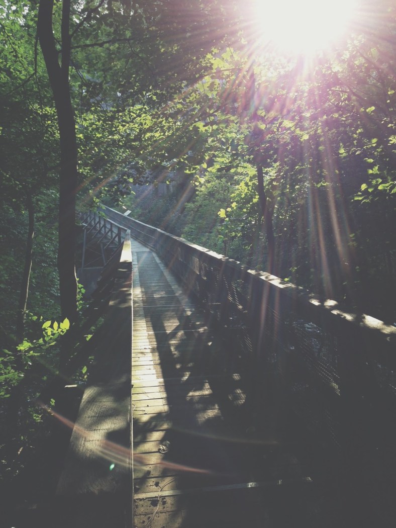 lovely cheerythings_photo (31)