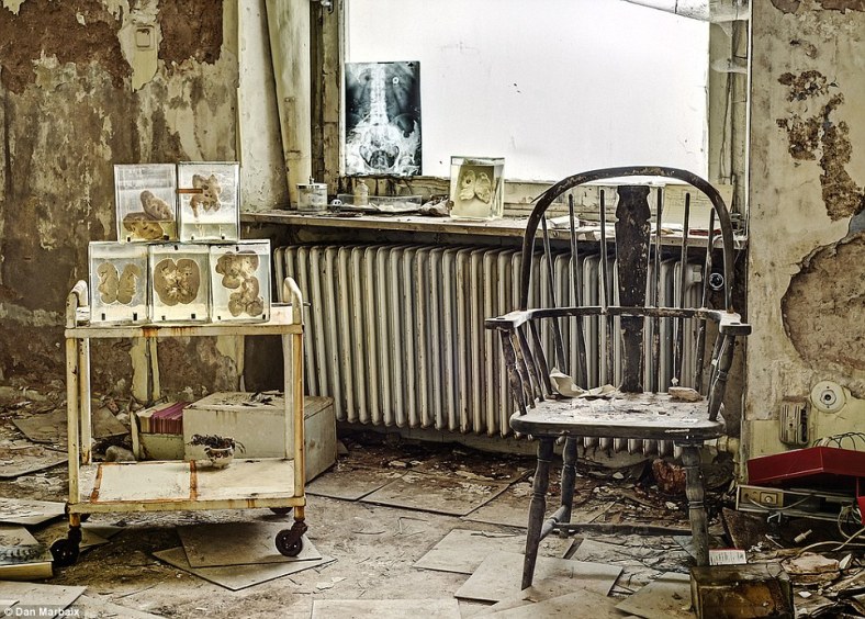 27_article-2401848-1B729120000005DC-917_964x691