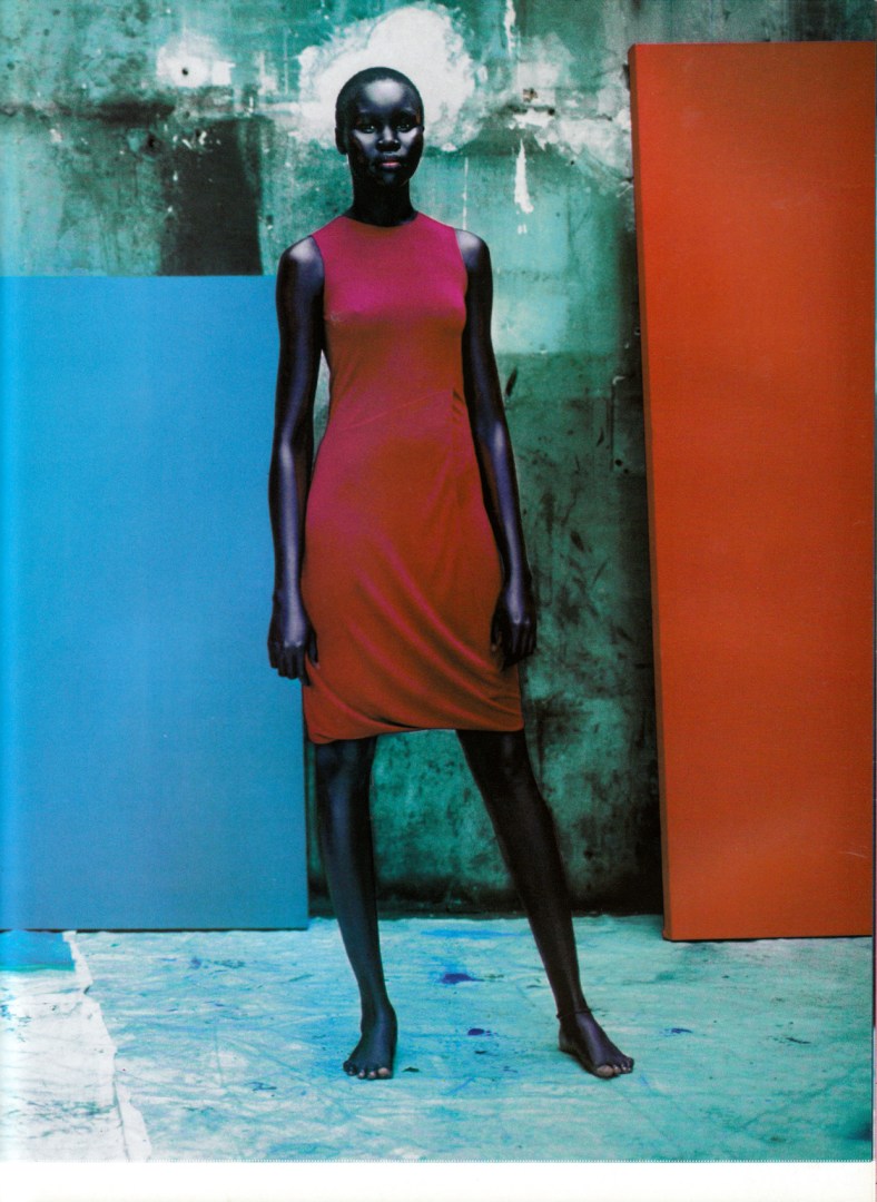 10_alek-wek1 (1)