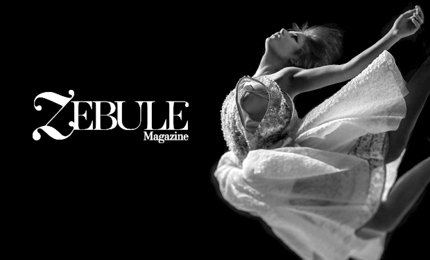 _2nd last image_large_zebule_V4