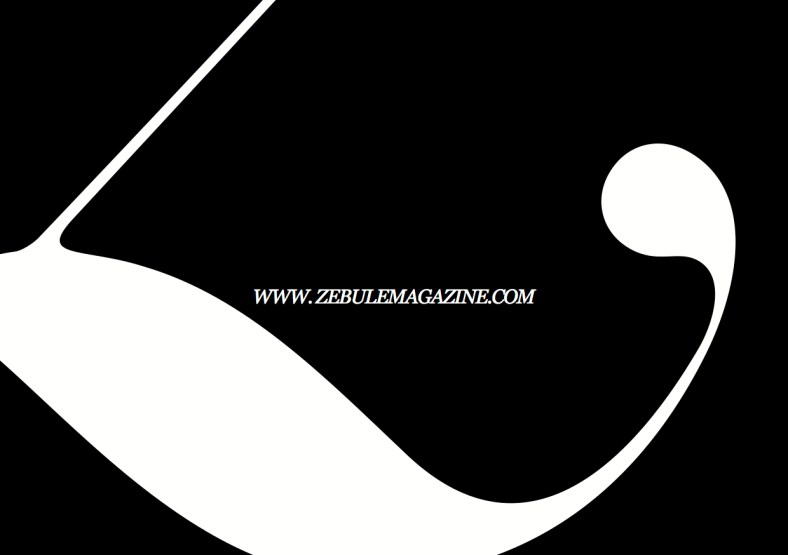 _last image_DP_ZEBULE_SP-1