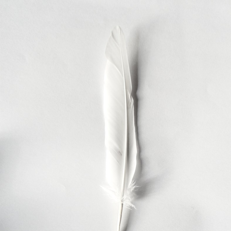 1_The_Whiteness_of_Milk_Tumblr_the-whiteness-of-milk_hr