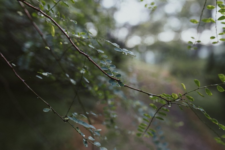 1 OR 2_Mandy+&amp;+Jake+(1+of+97)