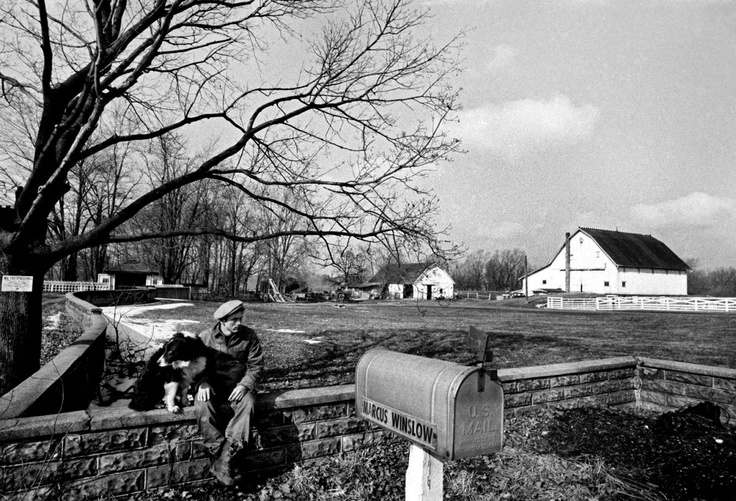 8_3d373a796dd989ce6c4ae26f99a31bc4