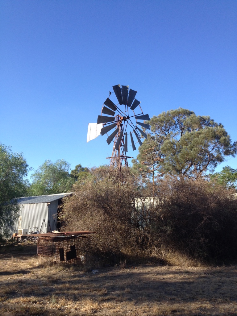 10_thumb_IMG_6522_1024