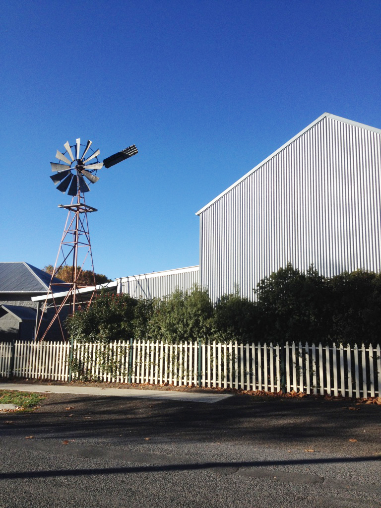 12_thumb_IMG_6556_1024