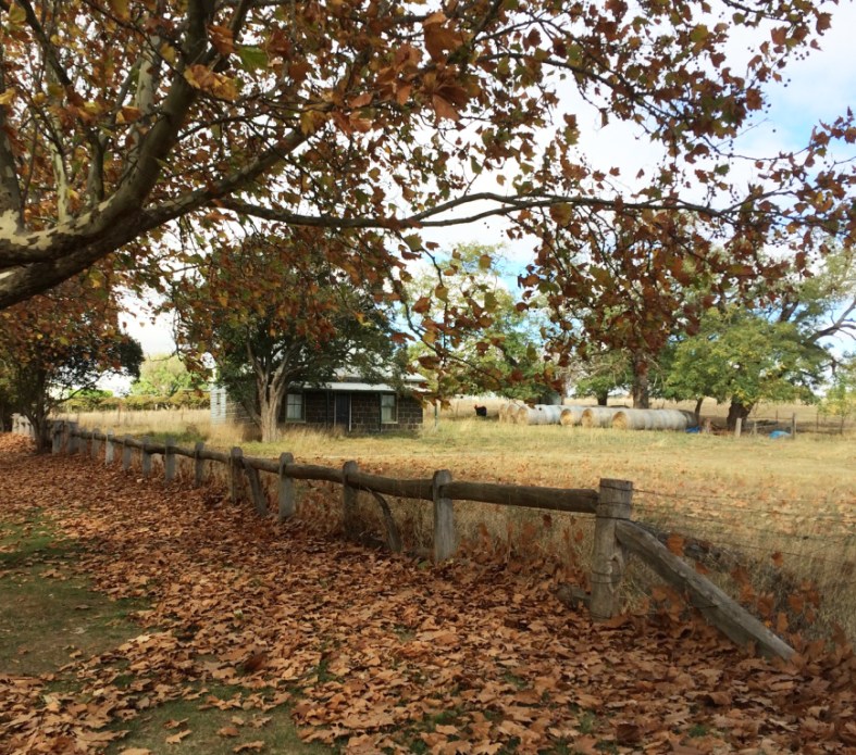 13_thumb_IMG_8537_1024_crop