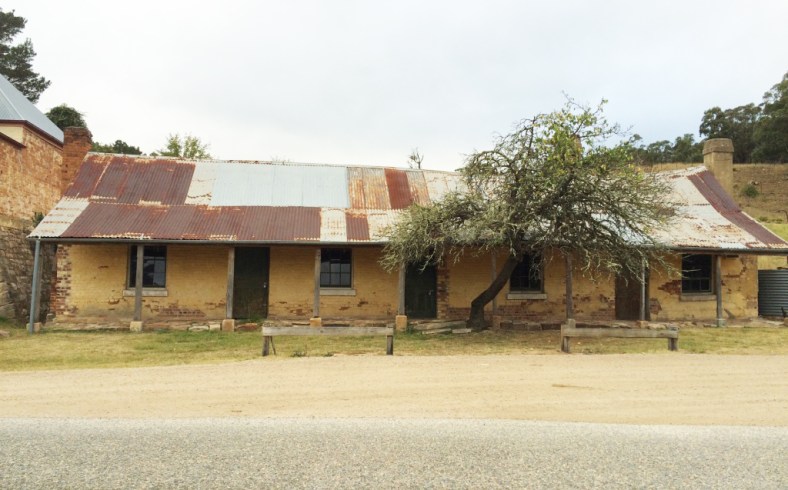 16_thumb_IMG_8475_1024