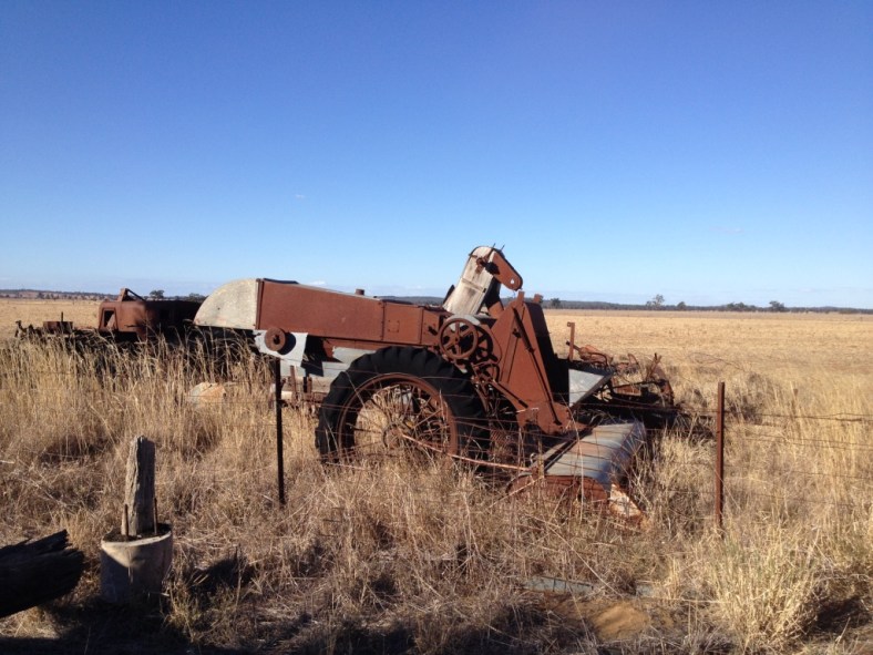 3_thumb_IMG_6485_1024