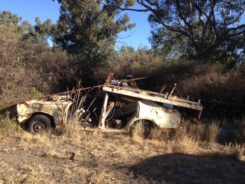 4_thumb_IMG_6514_1024