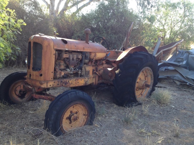 5_thumb_IMG_6507_1024