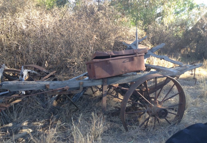 6_thumb_IMG_6513_1024