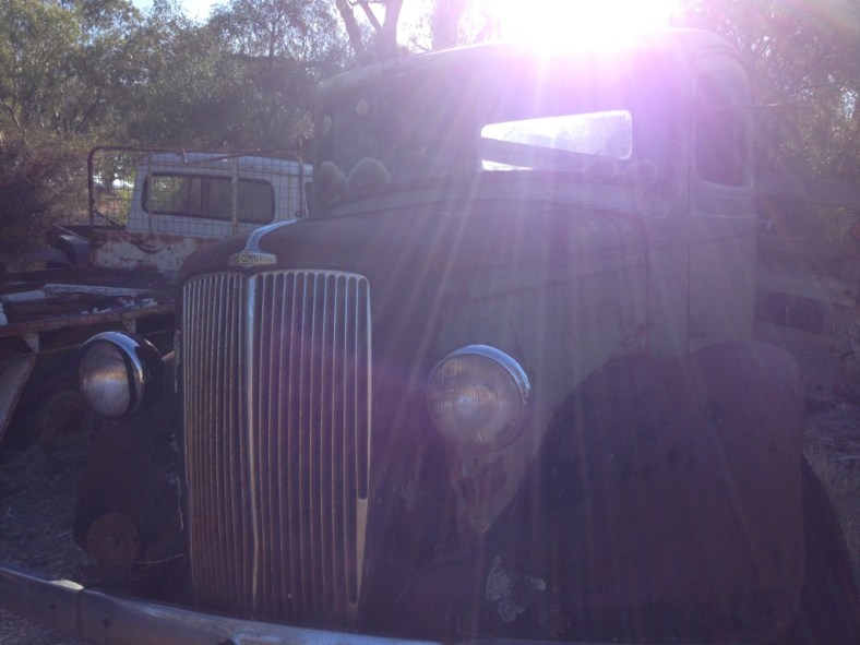 8_thumb_IMG_6517_1024